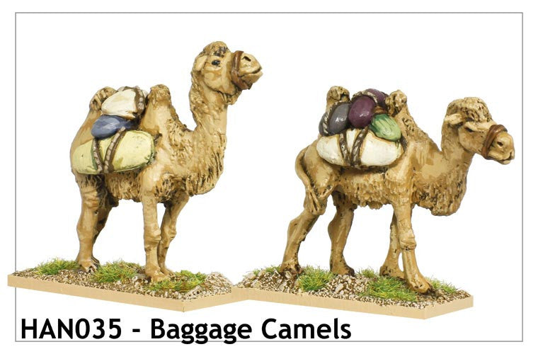 Baggage Camels (HAN035)
