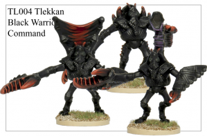 TL004 - Black Warrior Command
